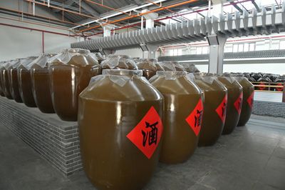 胡新利深入城固酒業公司調研，聚焦產業發展與品牌提升