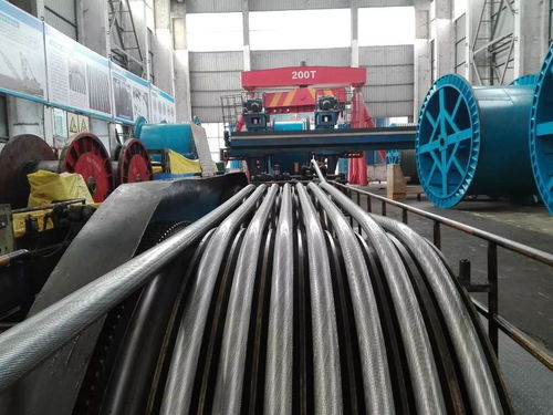 公司順利完成銅仁奧體中心密封繩生產，同步推進塑料管產銷業務